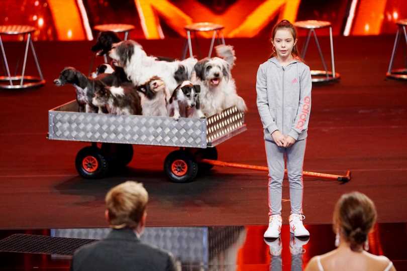 Meet Alexa Launeburger Britain's Got Talent The Champions dog act and