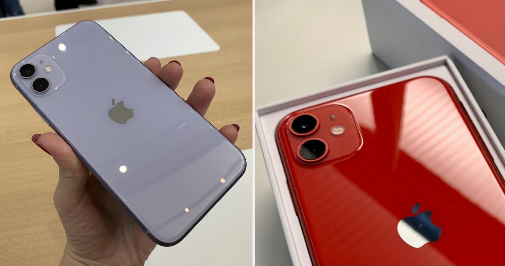 Iphone 11 colors comparison - stDer