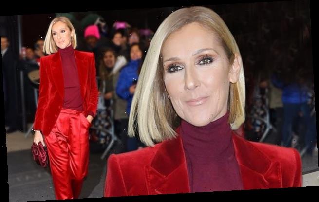 Celine Dion suits up in red for Tonight Show in NYC - WSTale.com