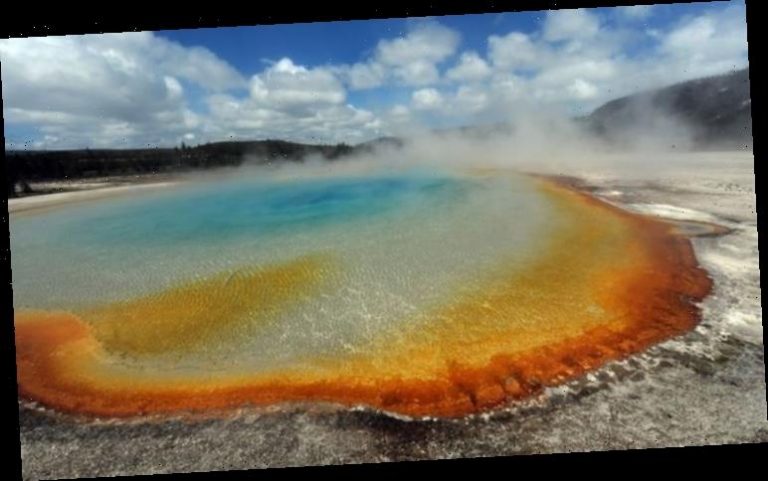 Yellowstone Volcano Usgs Head Reveals ‘swarm Of Earthquakes Hit Area Over Eruption Fears