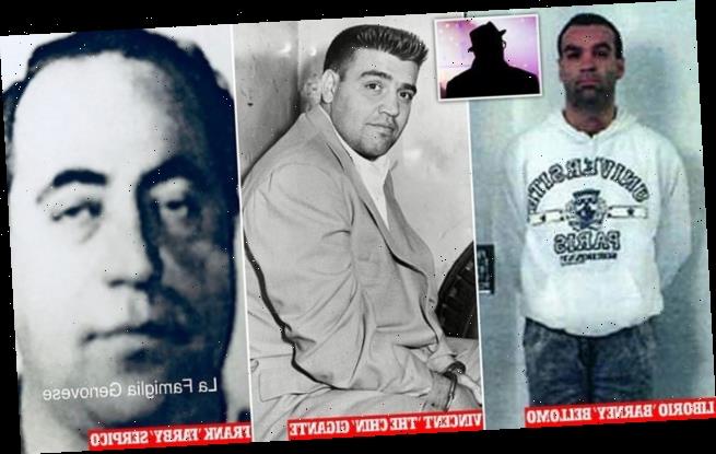 Genovese mob turncoat pens an open warning letter to the crime family ...