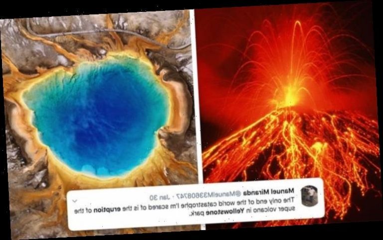 Yellowstone Eruption Fears 41 Earthquakes Hit Yellowstone Amid Concerns Of Overdue Blast