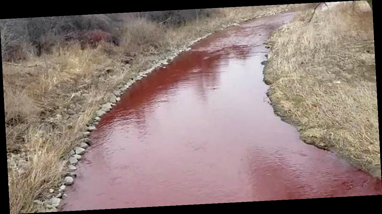 Canadian river turns bloodred in creepy footage straight out of a