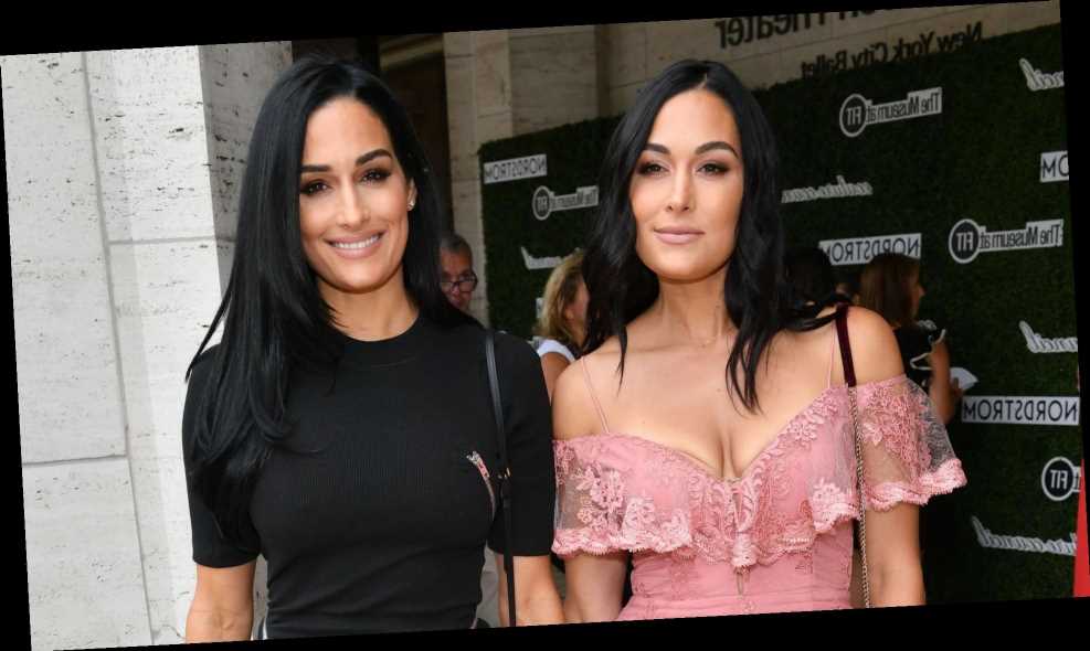 Brie And Nikki Bella Just Did A Totally Naked Twin Pregnancy Photoshoot Together