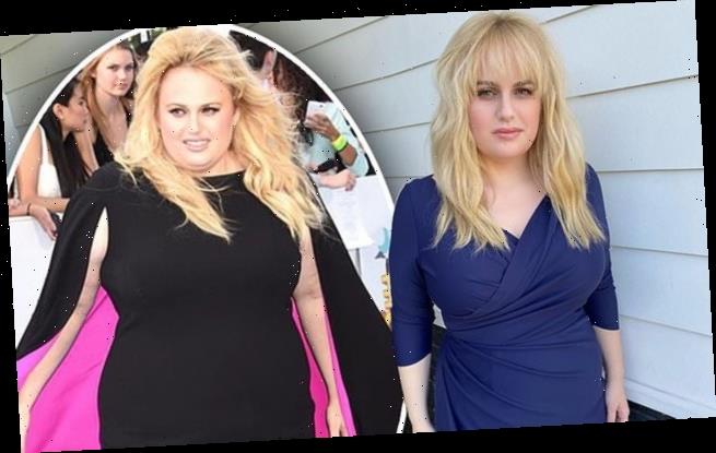 Rebel Wilson reveals her exact weight - WSTale.com