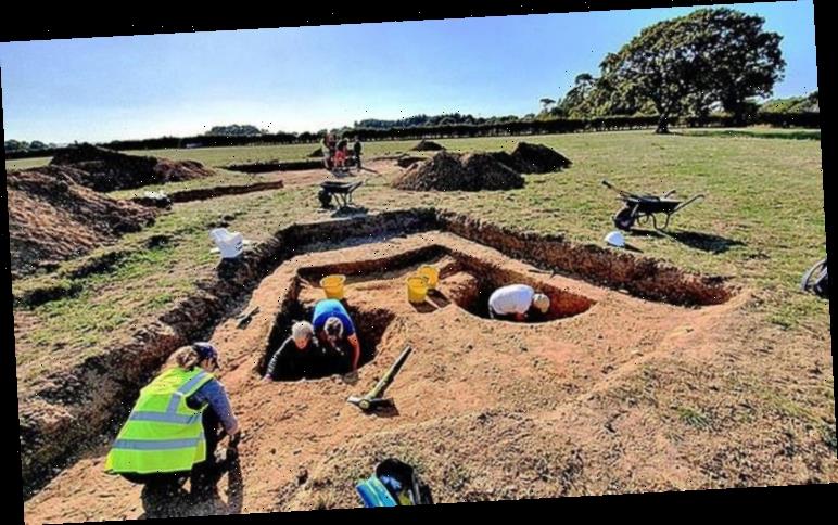 Stone Age human 'campsite’ unearthed in New Forest archaeological dig ...