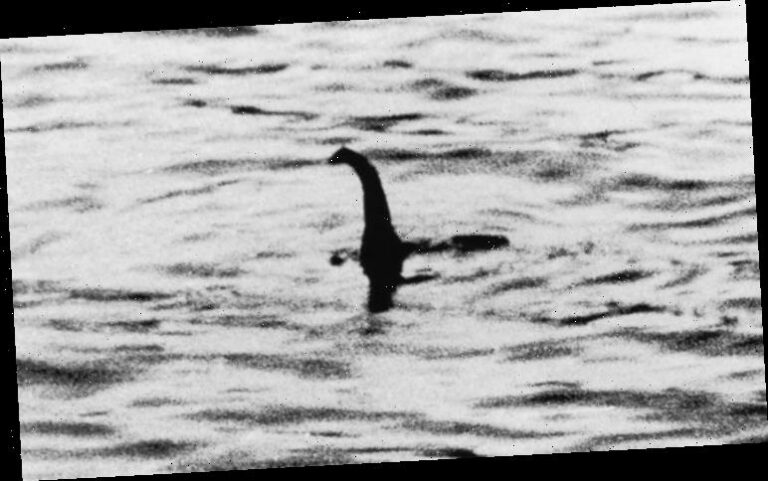 Loch Ness Monster: 'Unexplained' DNA in Scottish Highlands sparked ...