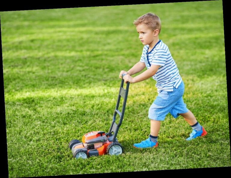 The Best Play Lawn Mowers for Little Gardeners
