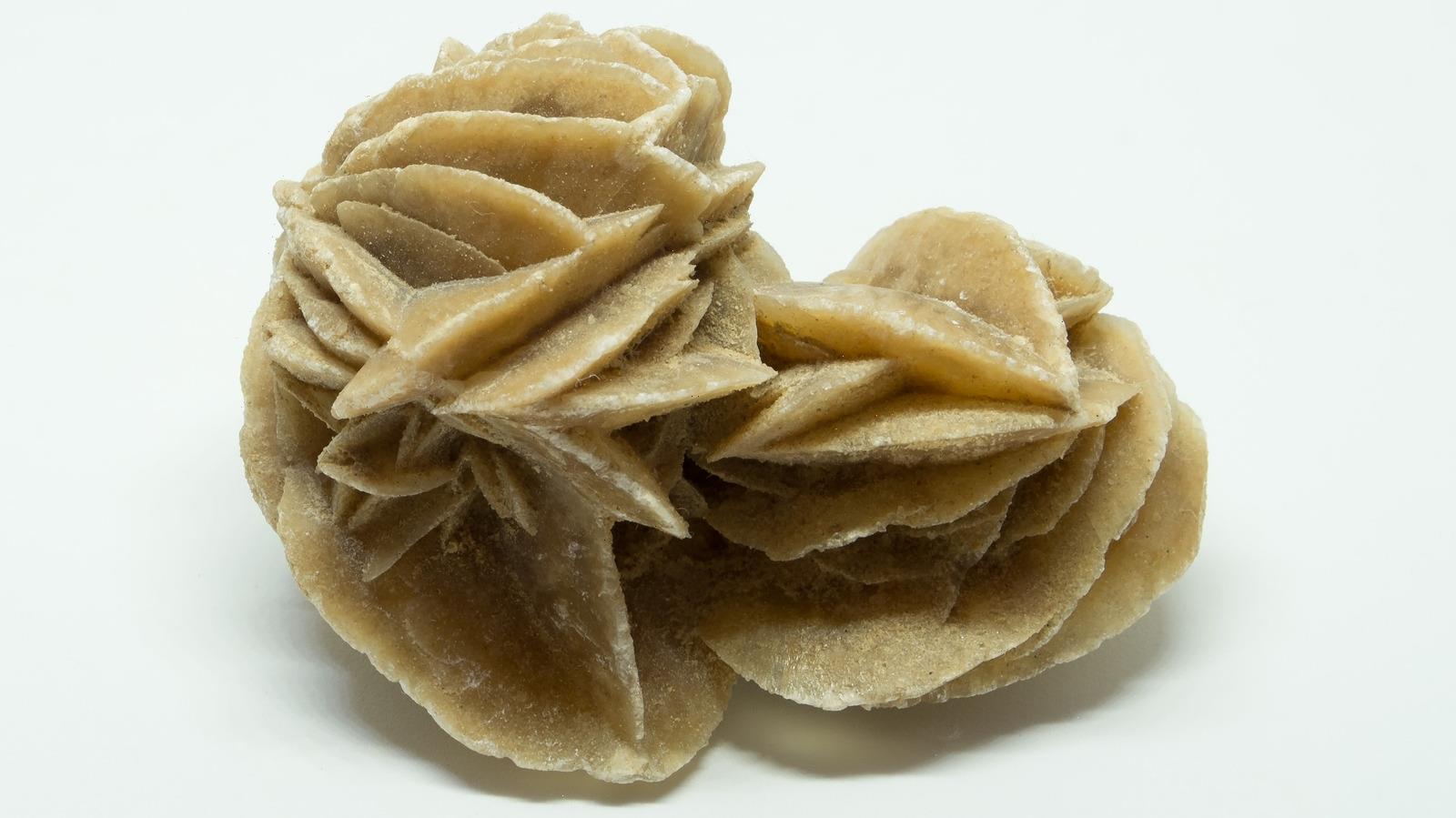 Everything You Need To Know About Using Desert Rose Crystals - WSTale.com